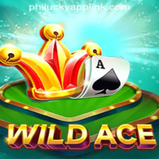 Exploring the Excitement of WildAce